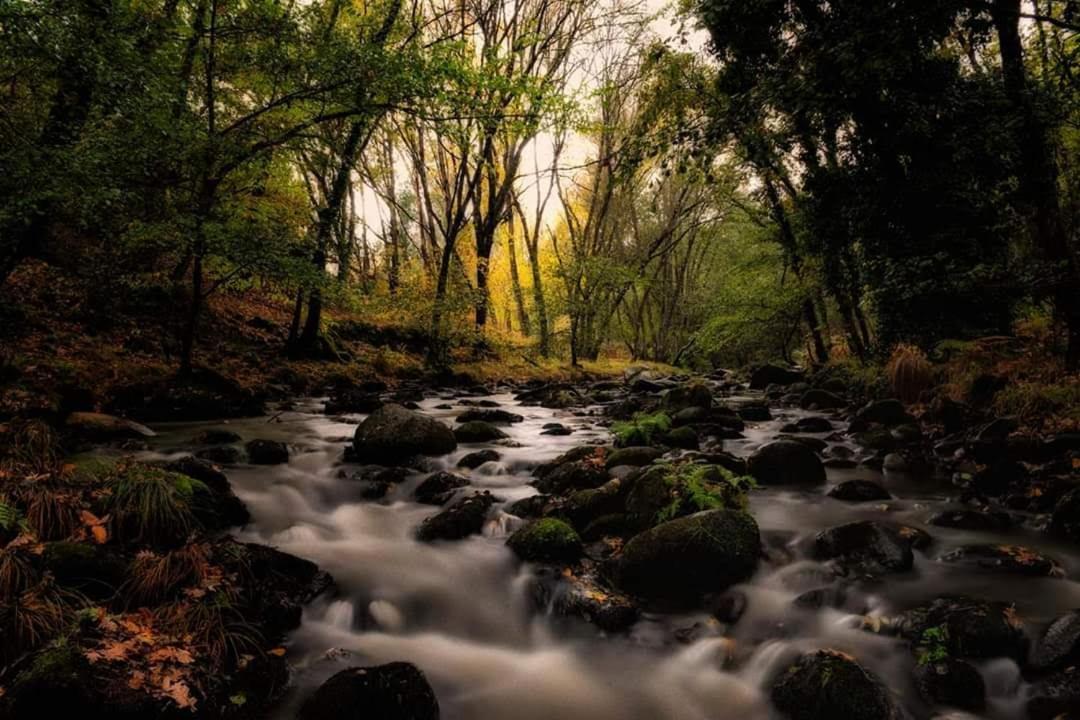 Hostel El Lago, Caceres Jaraiz de la Vera Eksteriør bilde